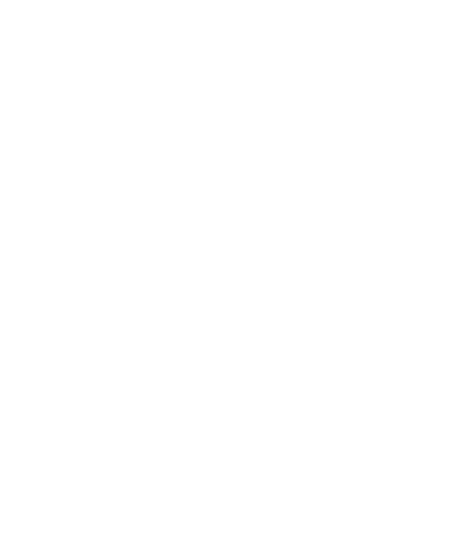 V Logo